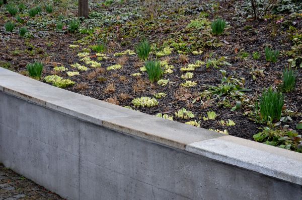 Cost of Concrete Wall Construction in Vancouver