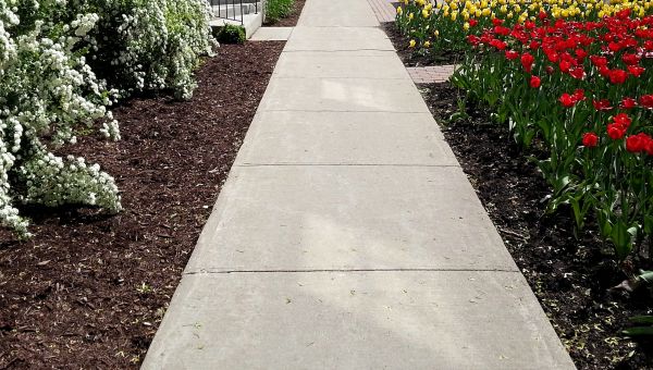 Cost of Cement Sidewalk Installation in Vancouver