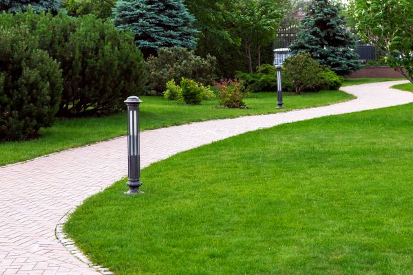 Cost of Backyard Sidewalk Installation in Vancouver